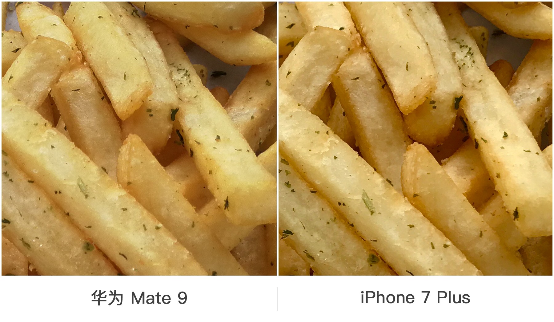 双摄之争 华为Mate 9与iPhone 7 Plus拍照对比 智能公会