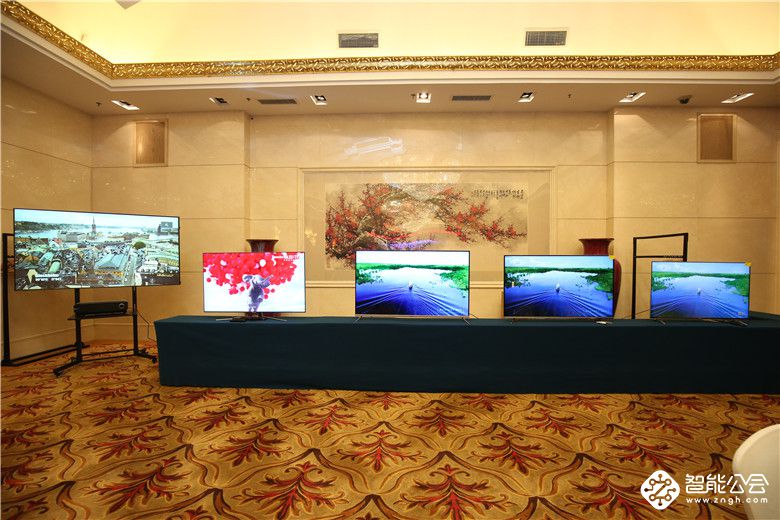 开球！超高清视界盛宴 第四届平板显示技术发展趋势论坛在京举行 智能公会