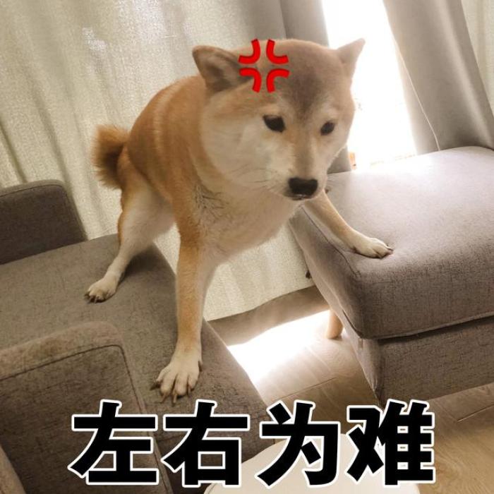 重量仅有250g的洗衣机,省水省电又便携