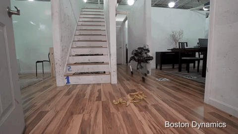 看了这个机器人 你还敢说自己是家务狗？ 智能公会