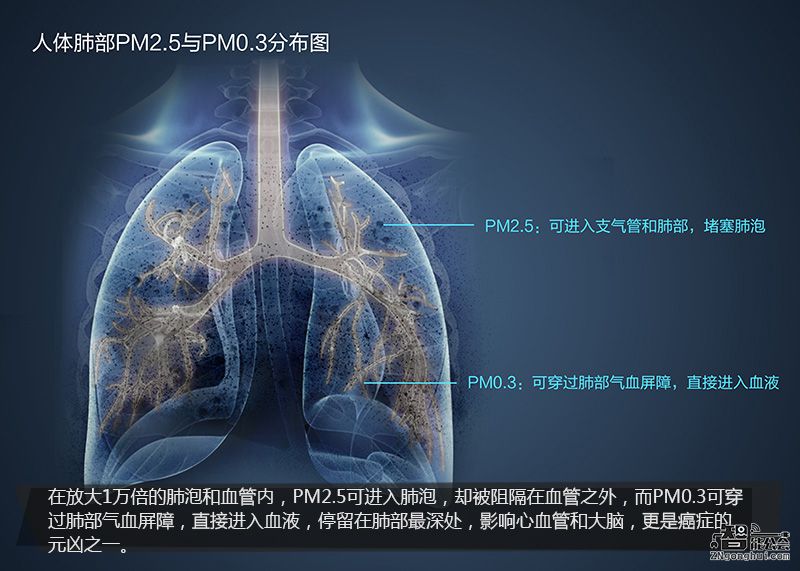 你以为清除了PM2.5就万事大吉 其实更可怕的是PM0.3 智能公会