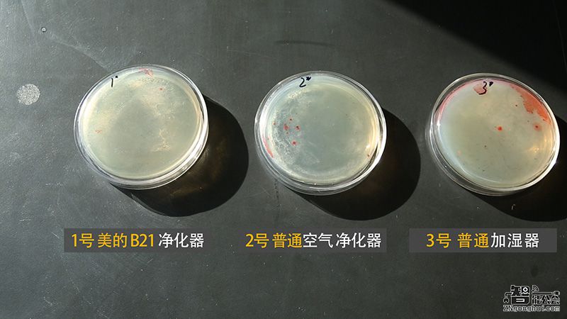 探究：加湿器、空气净化器到底能不能合二为一？ 智能公会