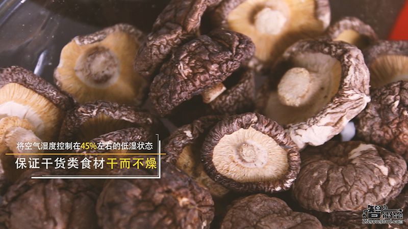 惊！什么样的冰箱有本事让干果和蔬菜做邻居？ 智能公会