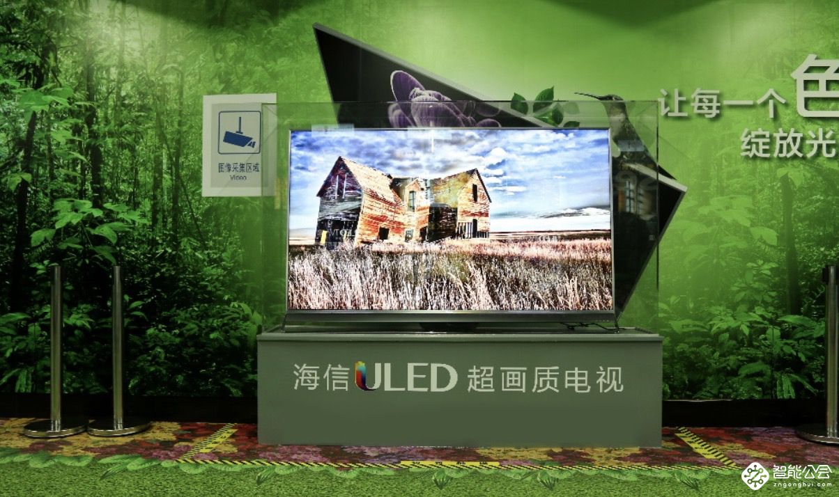 新奇！海信ULED超画质电视带你穿越丛林 智能公会