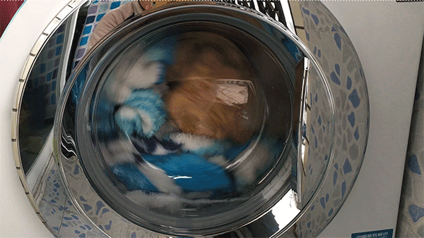 你和宝宝的衣物混洗那简直就是一个细菌染缸，越洗越脏 智能公会