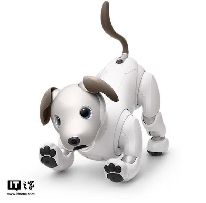 还记得索尼机器狗Aibo吗？它要推出新的巧克力配色了 智能公会