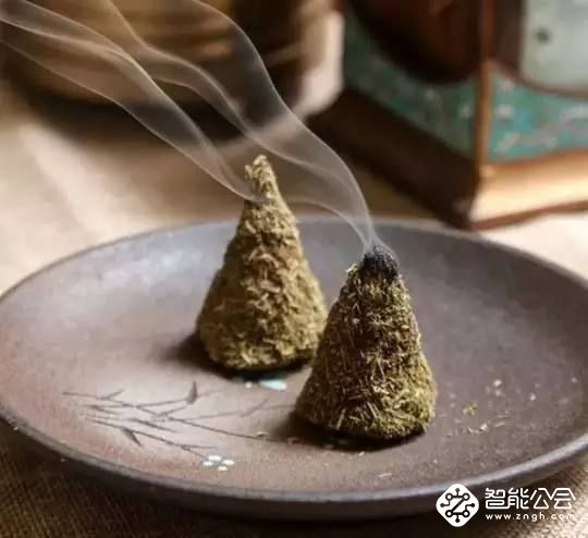 蚊香液VS电蚊灯，谁才是真正的夏季守护者 智能公会