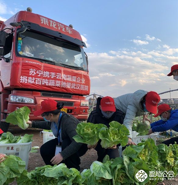 苏宁捐献100吨蔬菜驰援武汉！三千里一日达！ 智能公会