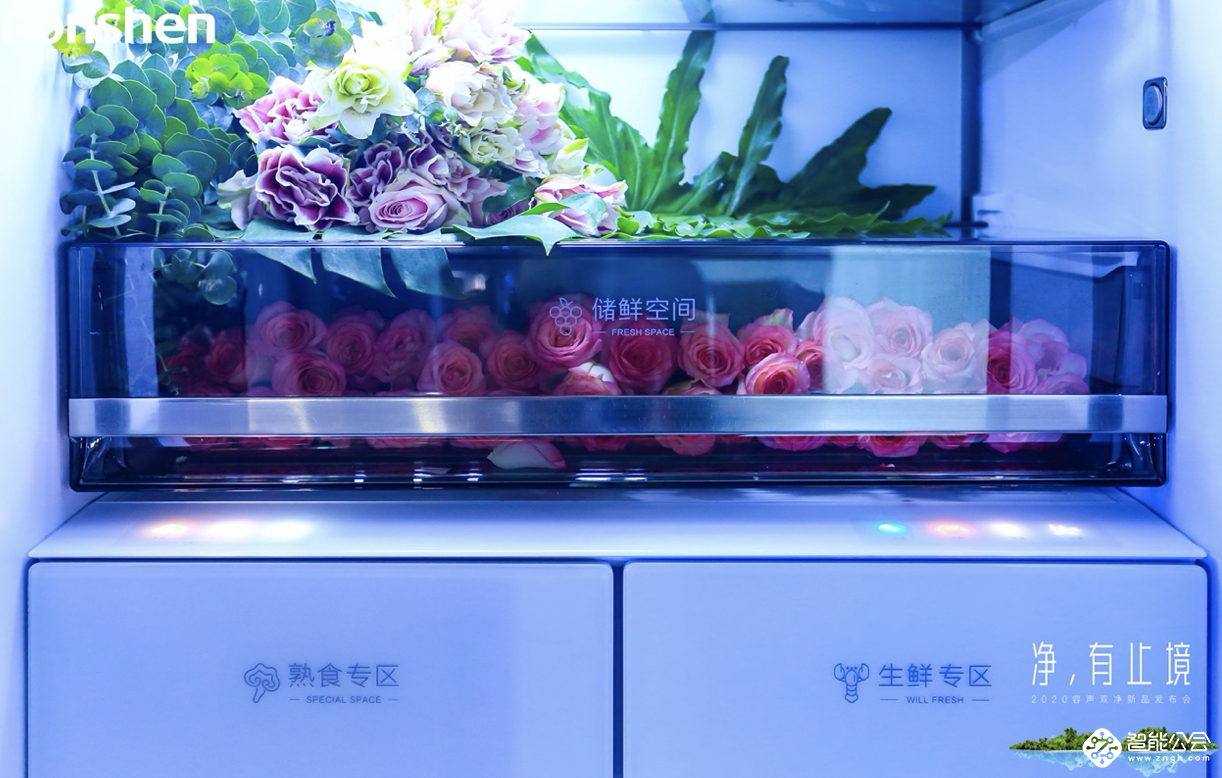 又一个全球第一，容声“双净”冰箱构建健康饮食新生态 智能公会