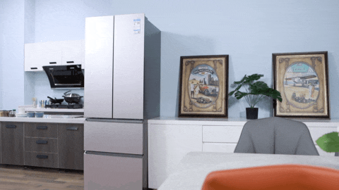 小房子要放大冰箱？安排！TCL 320L大容量冰箱评测 智能公会