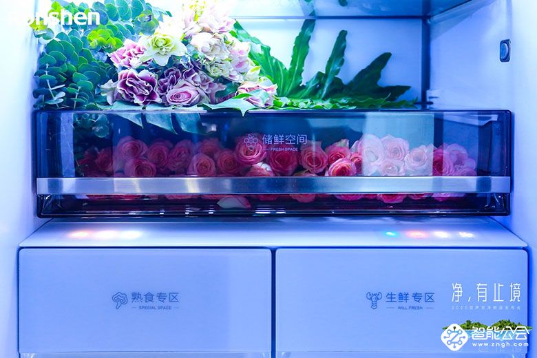 容声生熟分储冰箱，助力“健康中国”建设 智能公会