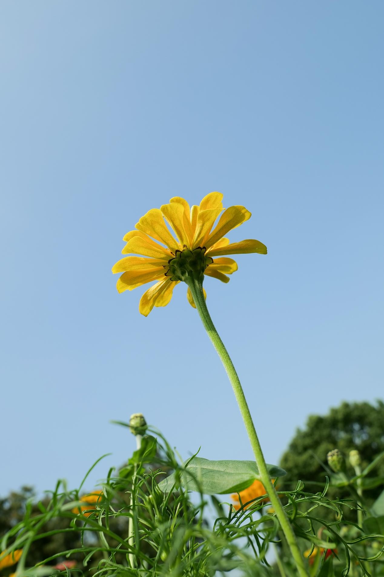 用松下LUMIX S 18mm F1.8 镜头街拍，感受广角镜头的乐趣 智能公会