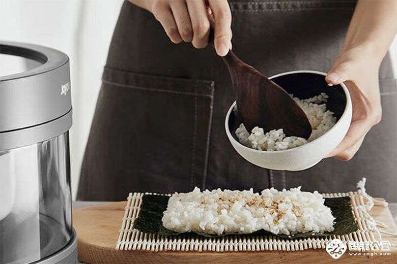 九阳新一代蒸汽电饭煲S160：健康烹饪的理想之选 智能公会