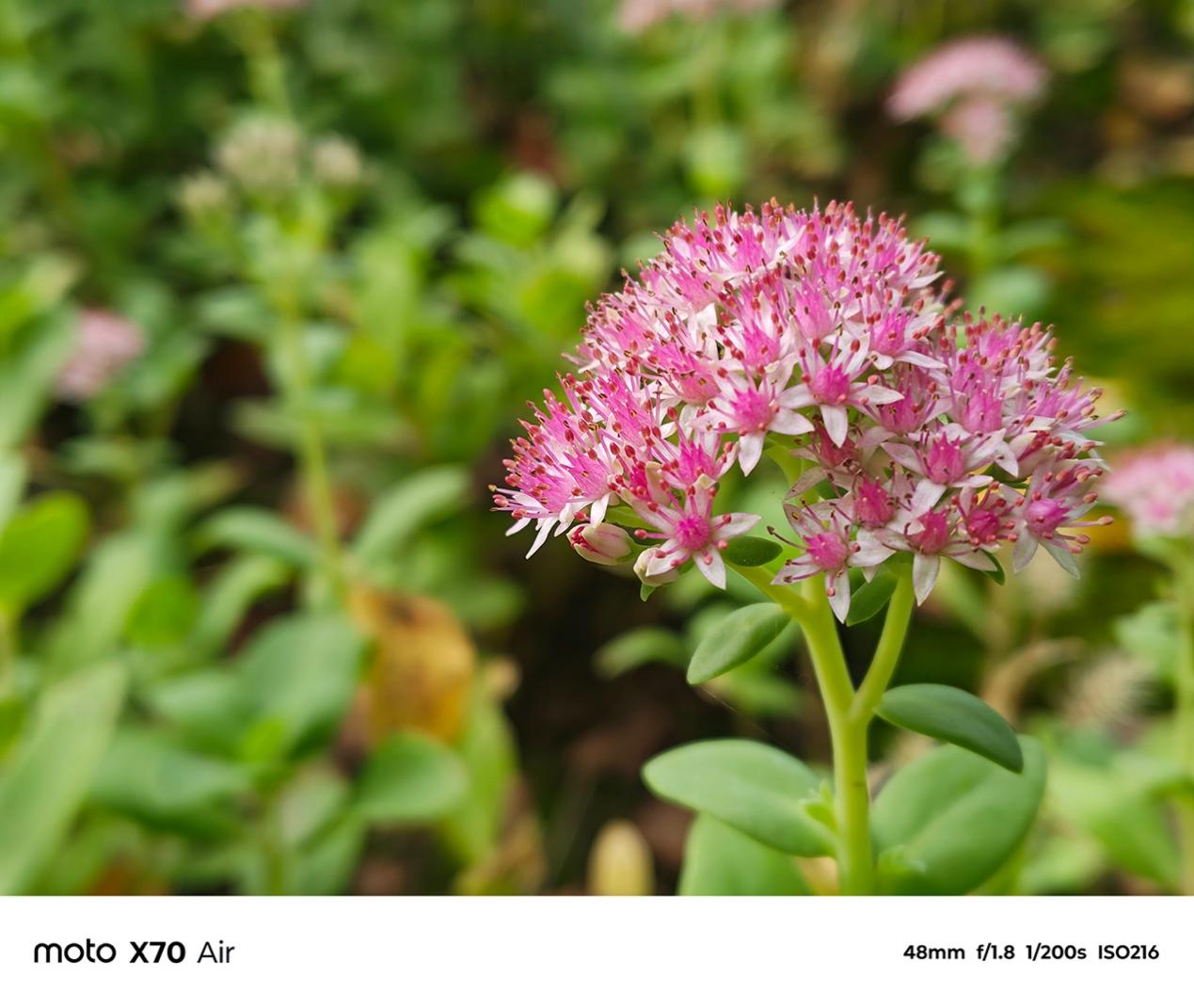 轻薄全能旗舰 体验无短板 联想moto X70 Air AI手机深度评测 轻薄全能旗舰 体验无短板 联想moto X70 Air AI手机深度评测 智能公会