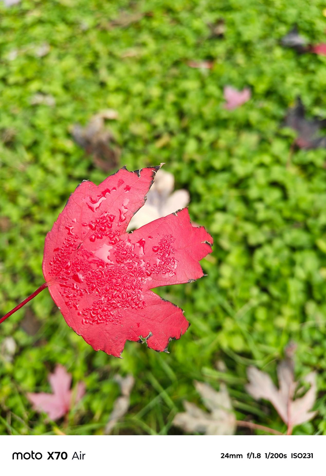 轻薄全能旗舰 体验无短板 联想moto X70 Air AI手机深度评测 轻薄全能旗舰 体验无短板 联想moto X70 Air AI手机深度评测 智能公会