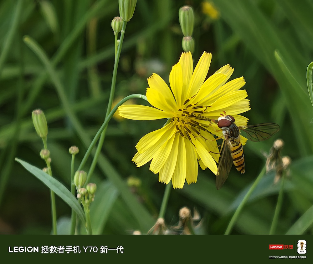 把3A大作装进口袋：拯救者手机Y70新一代评测 智能公会